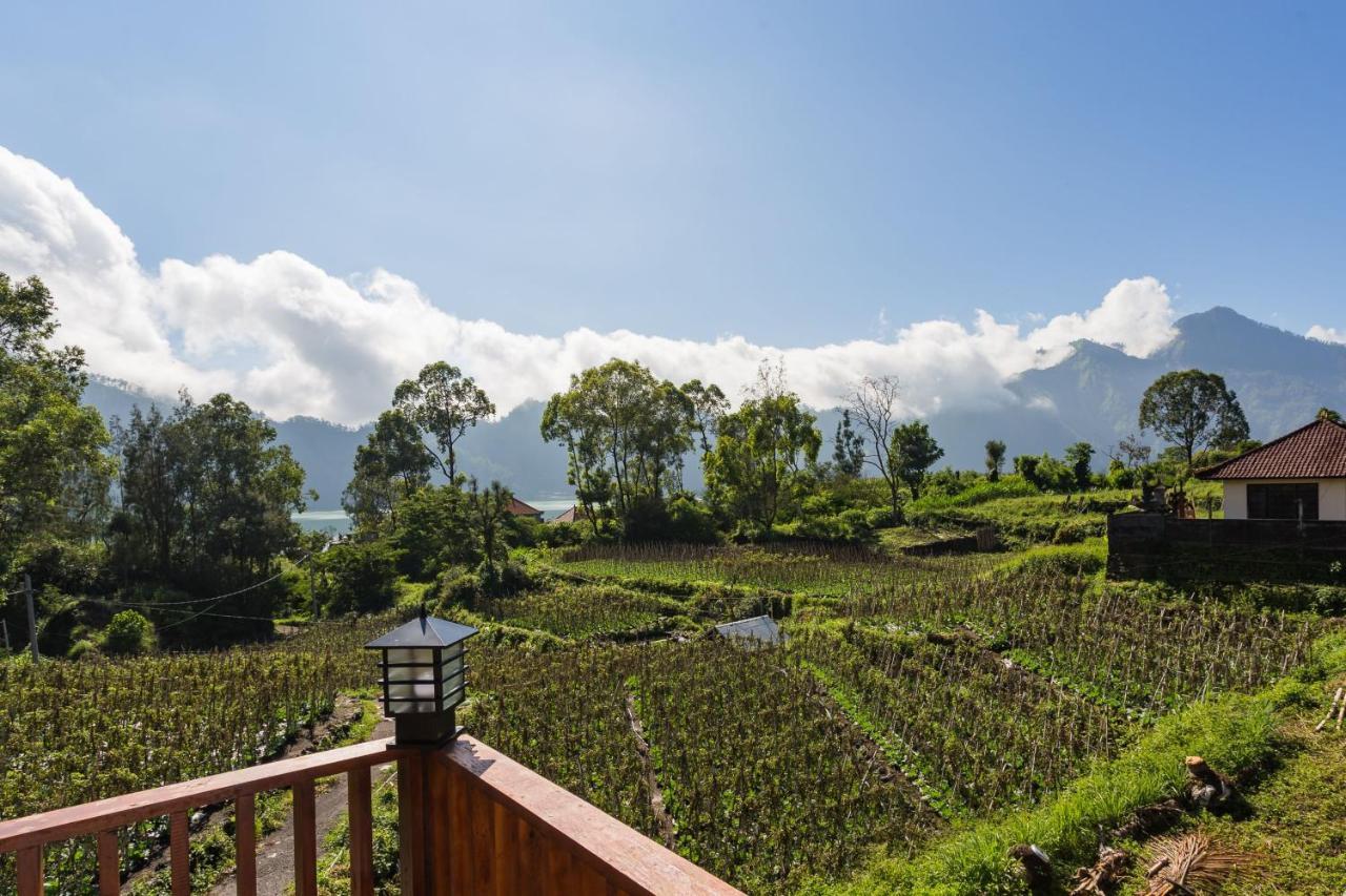 Mount Batur Villa Kintamani  Ngoại thất bức ảnh